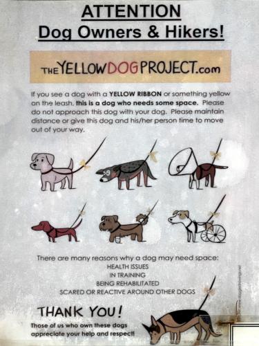 Yellow Dog Project poster at Rotch Wildlife Preserve in southern NH