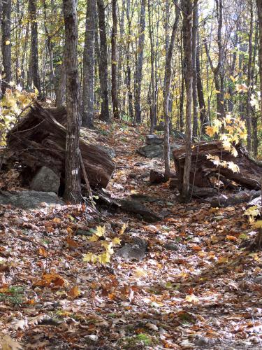 trail at Round Mountain in western Maine