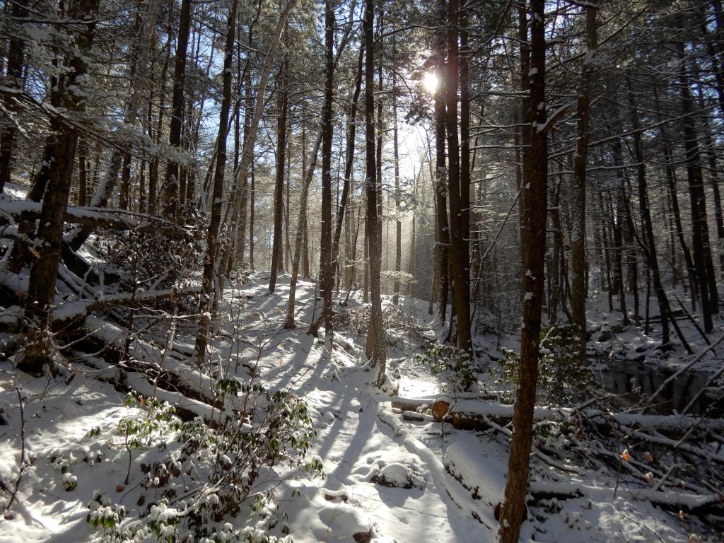 trail in December to Royalston Falls in northern Massachusetts