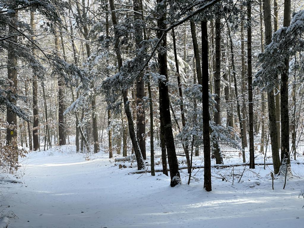 trail in December to Royalston Falls in northern Massachusetts