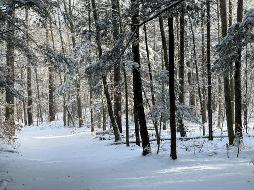 trail in December to Royalston Falls in northern Massachusetts