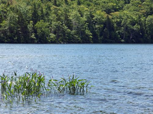 Russell Pond near Franconia Notch in New Hampshire