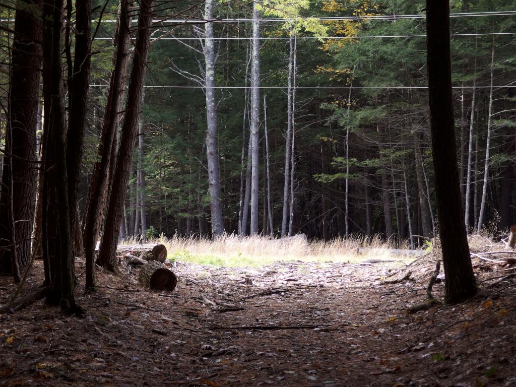 a snowmobile trail intersects a powerline swath at Russell Abbott State Forest in southern New Hampshire