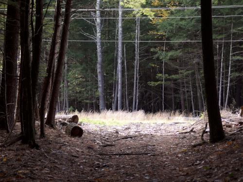 a snowmobile trail intersects a powerline swath at Russell Abbott State Forest in southern New Hampshire