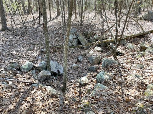 Greenwood Cellar Hole at Saddle Hill Nature Walk in eastern Massachusetts