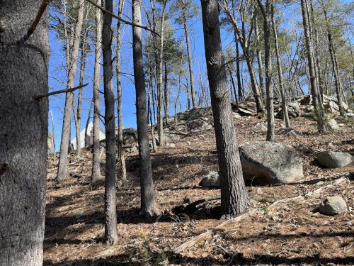 house in March beside Saddle Hill Nature Walk in eastern Massachusetts