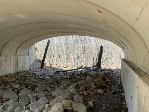 tunnel in March at Saddle Hill Nature Walk in eastern Massachusetts