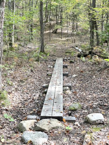 boardwalk in September at Sandown Town Forest in southern NH