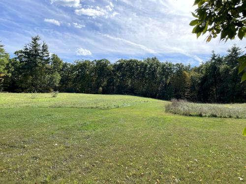 Big Field in September at Sandown Town Forest in southern NH