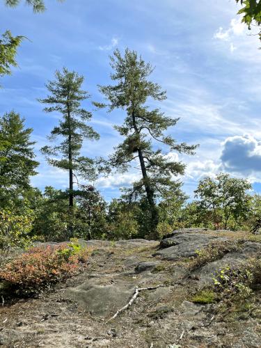 Great Rock in September at Sandown Town Forest in southern NH