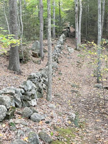 stone wall in September at Sandown Town Forest in southern NH