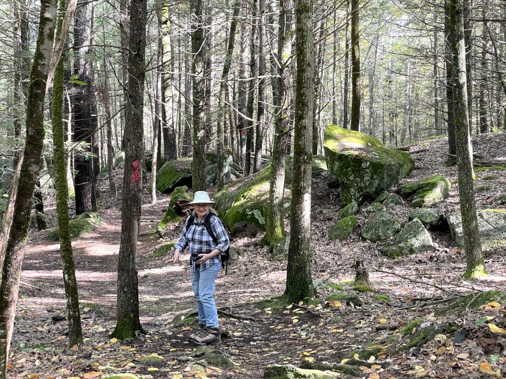 Andee in the woods in September at Sandown Town Forest in southern NH