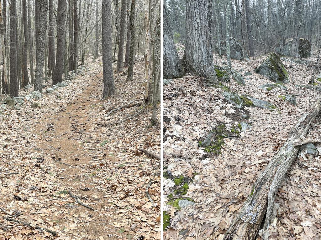 trail in February at Sassafras Trail near Westford in northeast MA