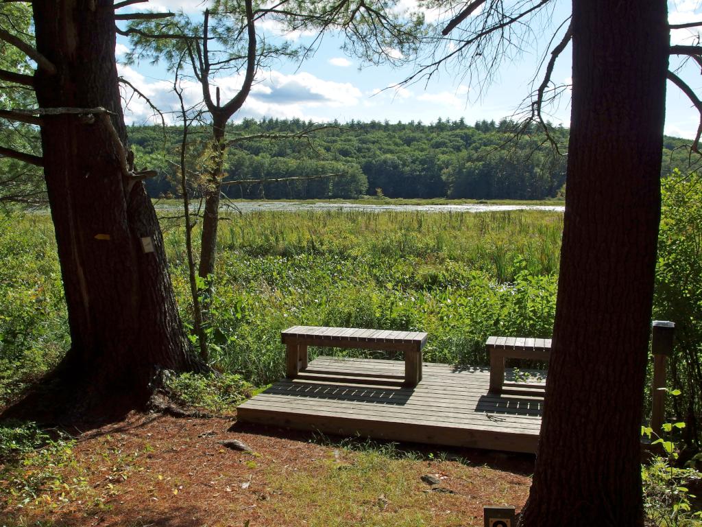 view in August from the Guided Nature Trail into The Great Meadow at Saunders Pasture Conservation Area in southern New Hampshire