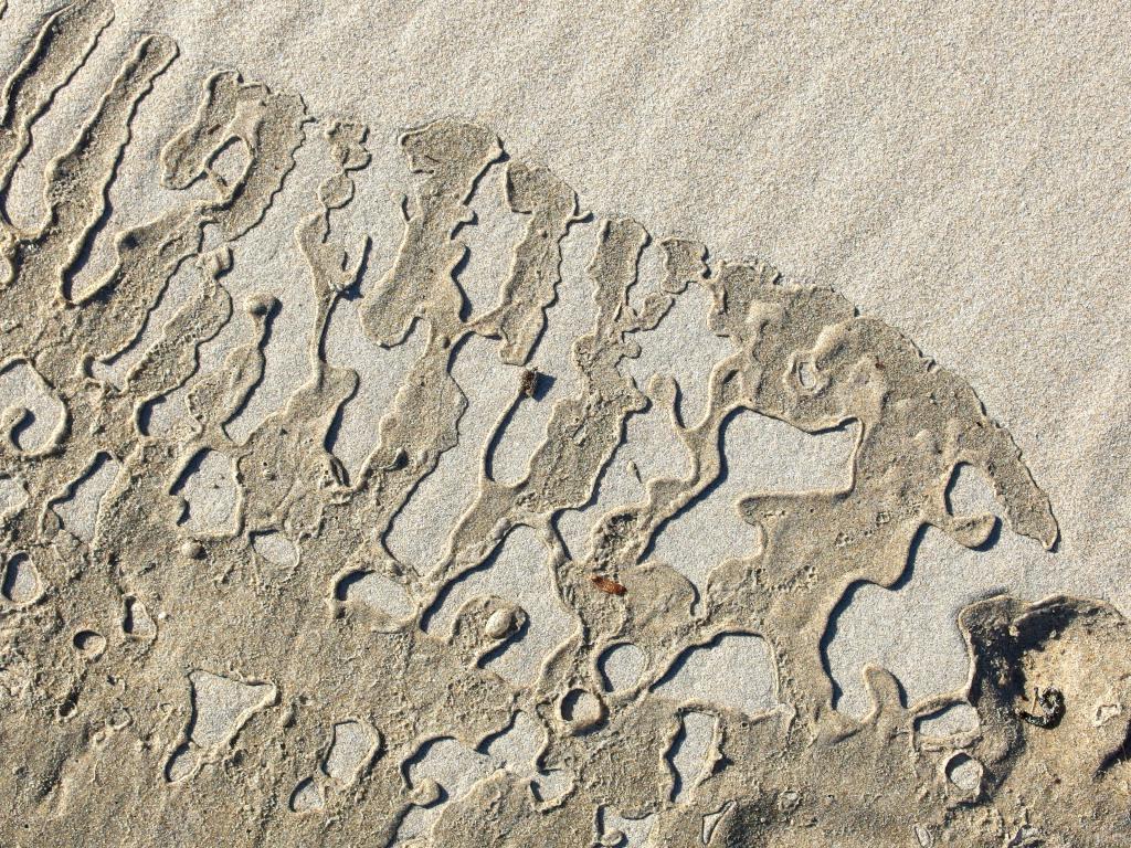 sand pattern caused by surf waves in November at Scarborough Beach near Portland Maine