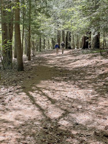 River Trail in May at Sewalls Falls Park near Concord in southern NH