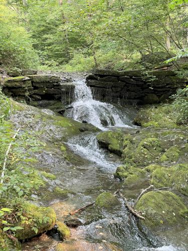 Shaker Brook in August at Shaker Mountain in western MA