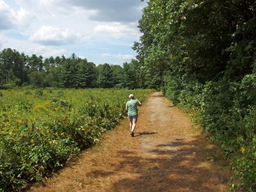 Meadow Trail at Sherburne Nature Center in northeast Massachusetts