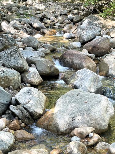 Whiteface Brook beside Signal Ridge Trail on the way to Signal Ridge Peak in central NH