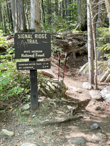 trail start at Signal Ridge Peak in central NH