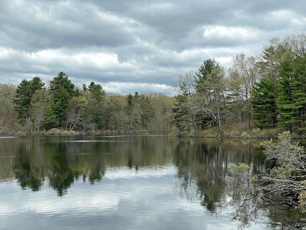 Duck Pond in May at Skinner Forest in northeast MA