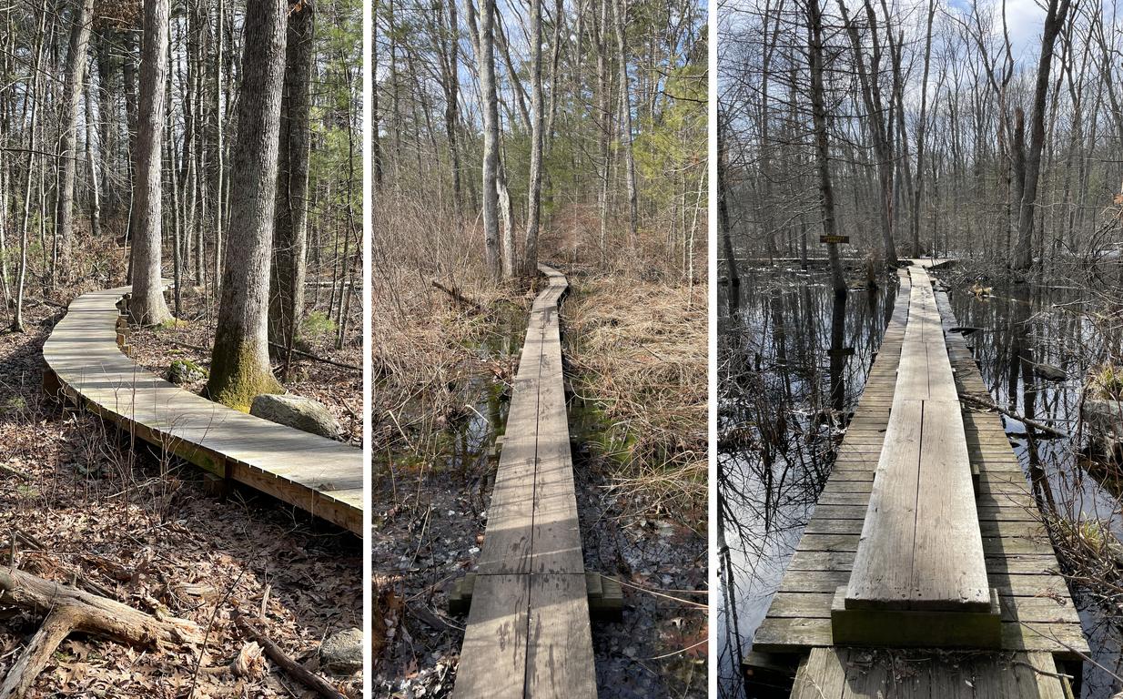 footbridges in February at Skug River Reservation in northeast MA