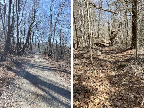 trails in February at South Woods in northeast MA