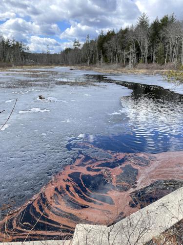 xxx in March at Stevens Rail Trail near Hopkinton in southern New Hampshire