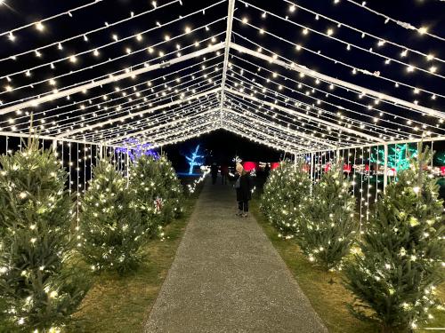 tent in December at Stevens-Coolidge House & Gardens in northeast MA