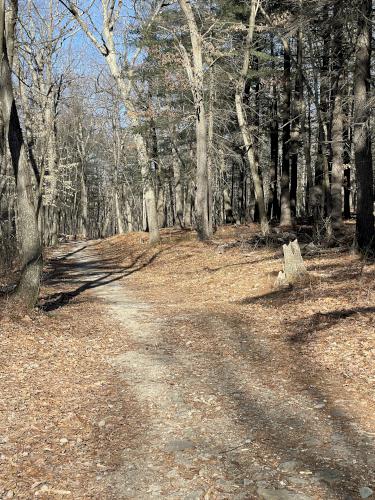 trail in January at Stony Brook Reservation in eastern Massachusetts