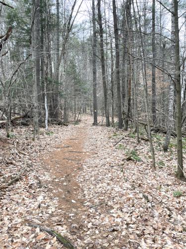 trail in December at Storrs Pond in western New Hampshire