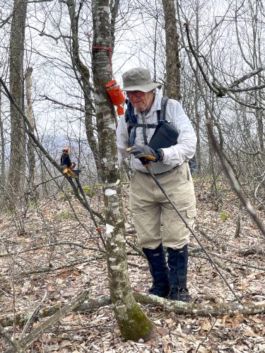 dick in April at Sugar Hill in western NH