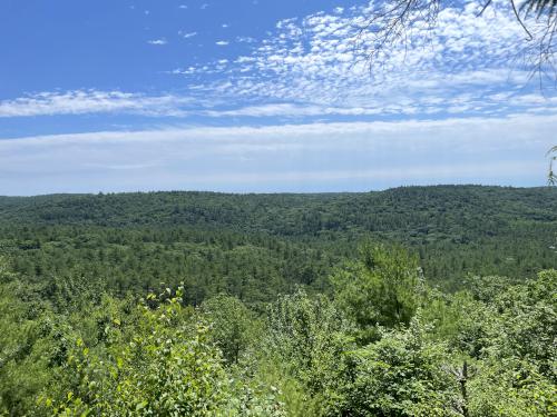 vista in July at Swift River Reservation in north central MA