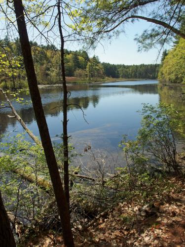 River Meadow Brook at Thanksgiving Forest near Chelmsford in northeastern Massachusetts