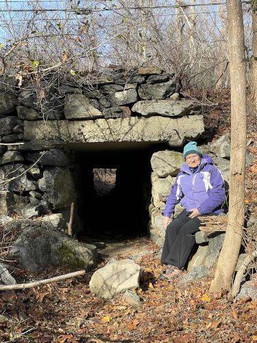 cow tunnel in November at Towle Land in northeast Massachusetts