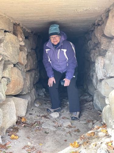 cow tunnel in November at Towle Land in northeast Massachusetts