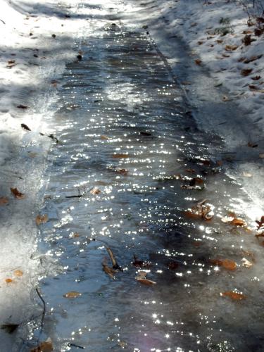 trail in March at Townsend State Forest in northeast Massachusetts