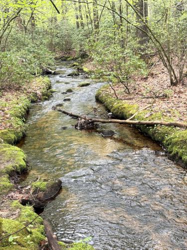 brook view at Tucker Brook Town Forest in southern NH