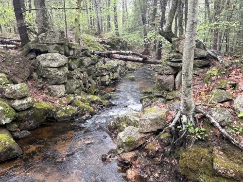 mill site at Tucker Brook Town Forest in southern NH