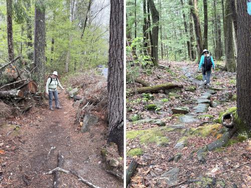 trails at Tucker Brook Town Forest in southern NH
