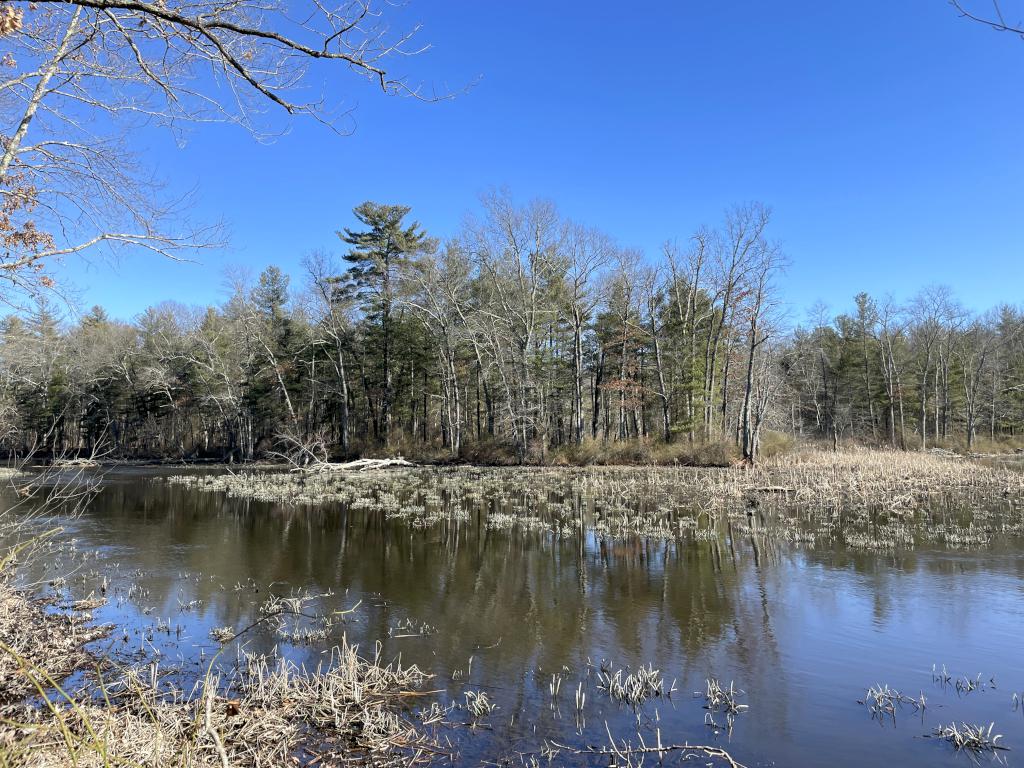 Stony Brook in February at Veterans Memorial Complex near Westford in northeast MA