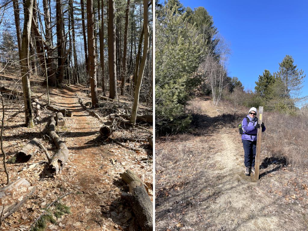 trails in February at Veterans Memorial Complex near Westford in northeast MA