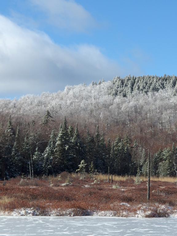 view across Chase Pond in November beside the trail to Little Mount Washington in southwest New Hampshire