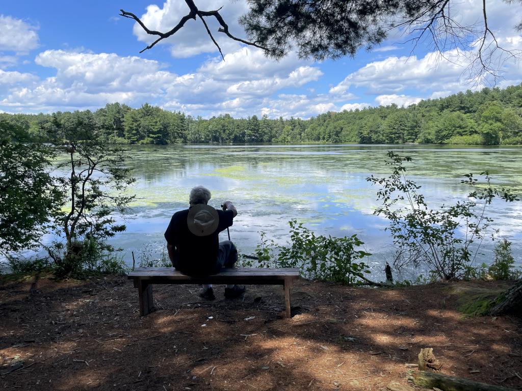 Carding Pond in June at Wayside Inn Historic Site in eastern MA