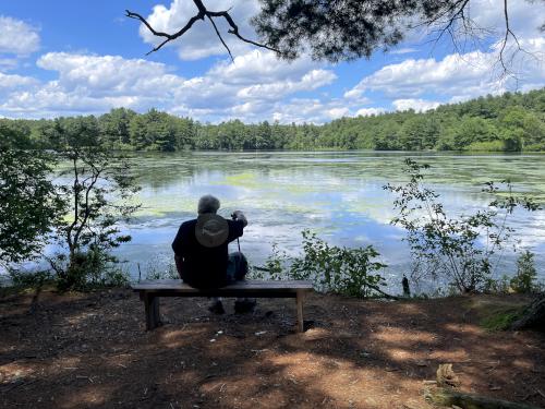 Carding Pond in June at Wayside Inn Historic Site in eastern MA