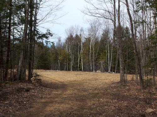 Log Landing at Weeks Woods near Gilford in southern New Hampshire