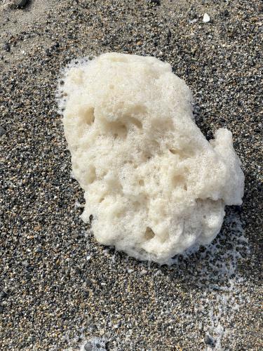 incoming-tide foam in February at Wells Reserve at Laudholm in southern Maine