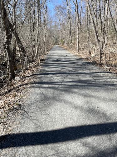 trail in March at Whitney and Thayer Woods in eastern Massachusetts