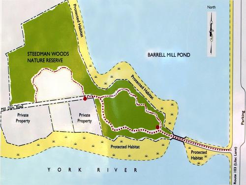 trailmap of Steedman Woods Nature Reserve near York Harbor in southern Maine