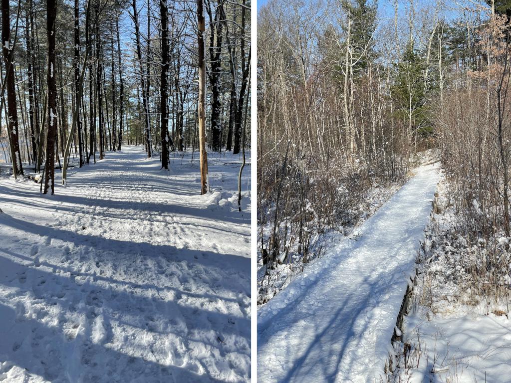 trail in December at Willand Pond Trail in southeast New Hampshire